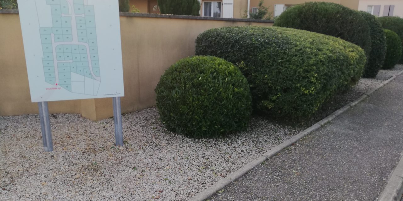 PHOTOS TRAVAUX ESPACES VERTS 2022