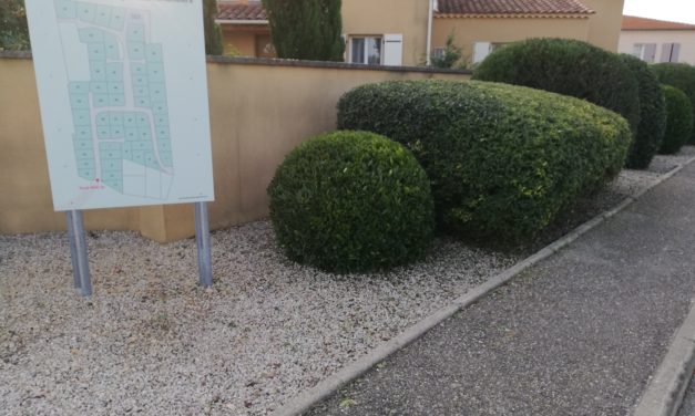 PHOTOS TRAVAUX ESPACES VERTS 2022